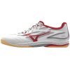 Mizuno wave drive 9 shoes for table tennis