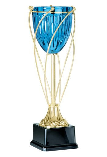 Cup for table tennis players