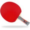 GEWO Blade Carat, GEWO raketė Carat, table tennis players, table tennis, stalo teniso raketė, stalo teniso žaidėjams